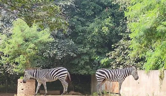 patna photo 4